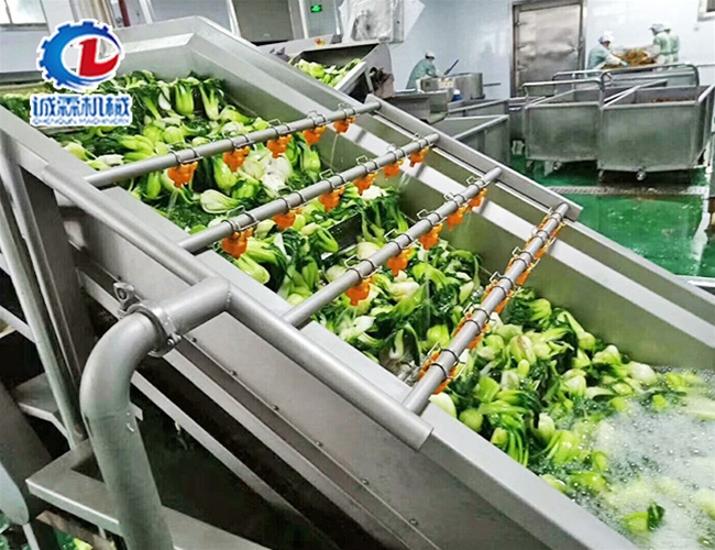 油菜氣泡清洗機