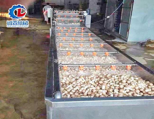 香菇噴淋清洗機