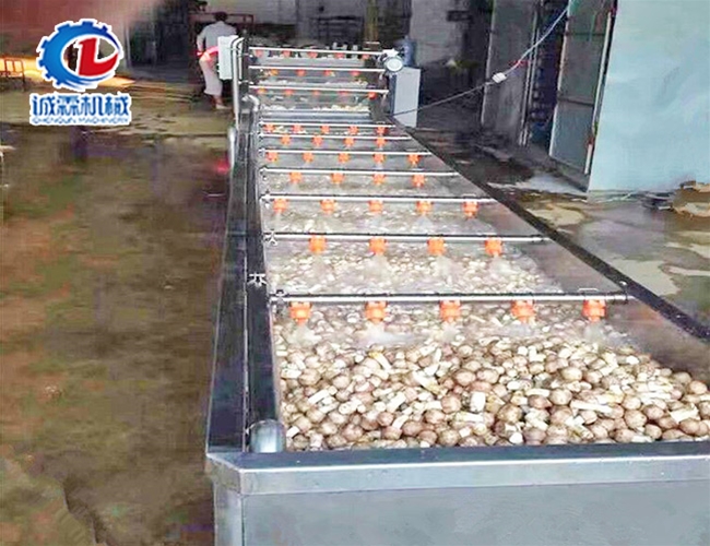 香菇噴淋清洗機